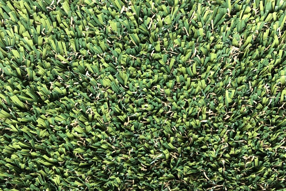 Doggiegrass royale