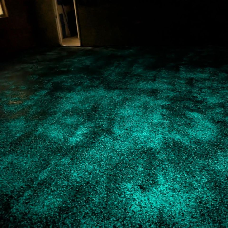 Flyhawk floor coatings epoxy flooring flooring contractor hot springs sd rapid city sd turquoise glow 462d7dae f3f1 4576 b9a6 056ceaf4ca3a