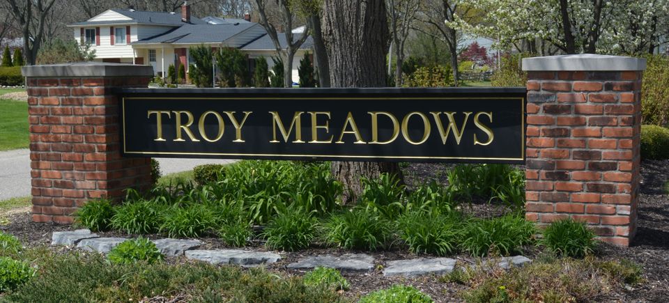 Troy meadows