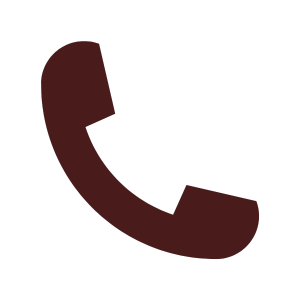 Phone Icon