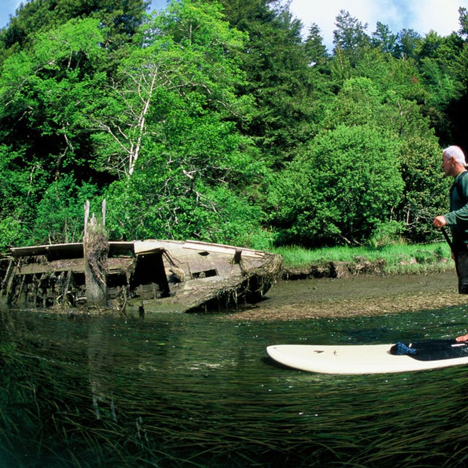 Chuckgraham albionriver img00320121130 1865 xc6y5g 0