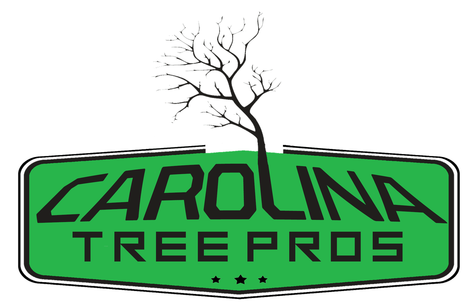 Carolina tree pros png