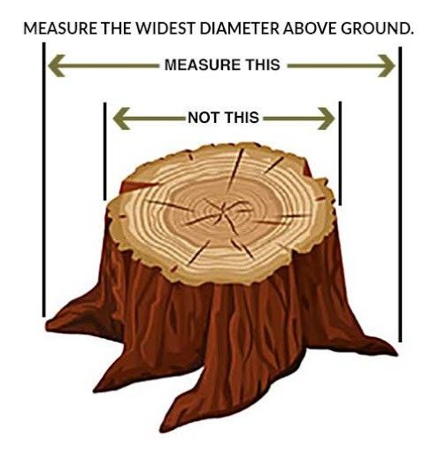 How to measure a tree stump