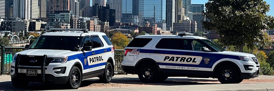 Two patrol vehicles with cityscape