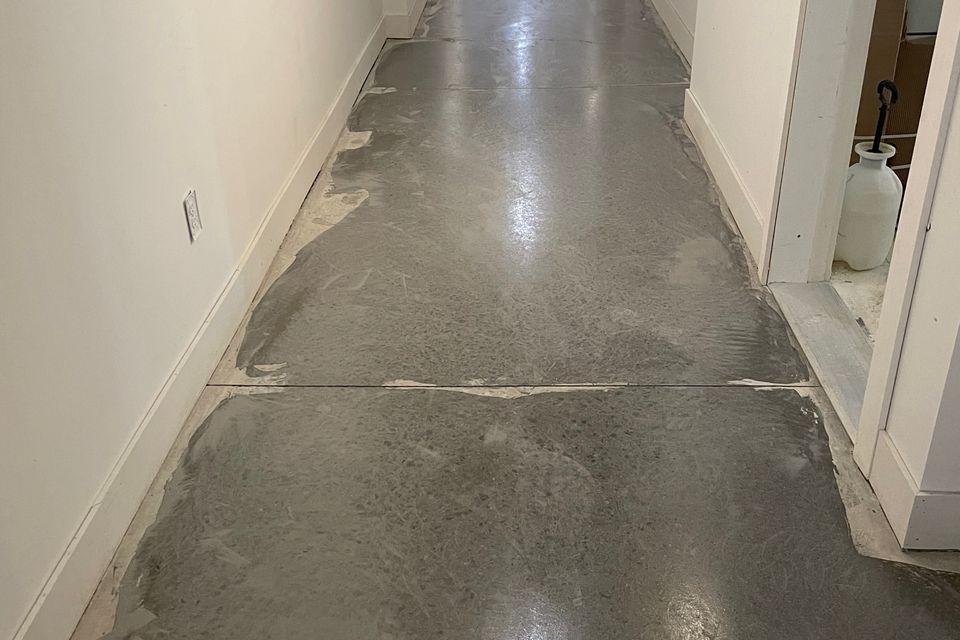 Img 1894