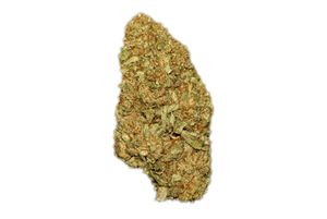 The tropic thunder strain