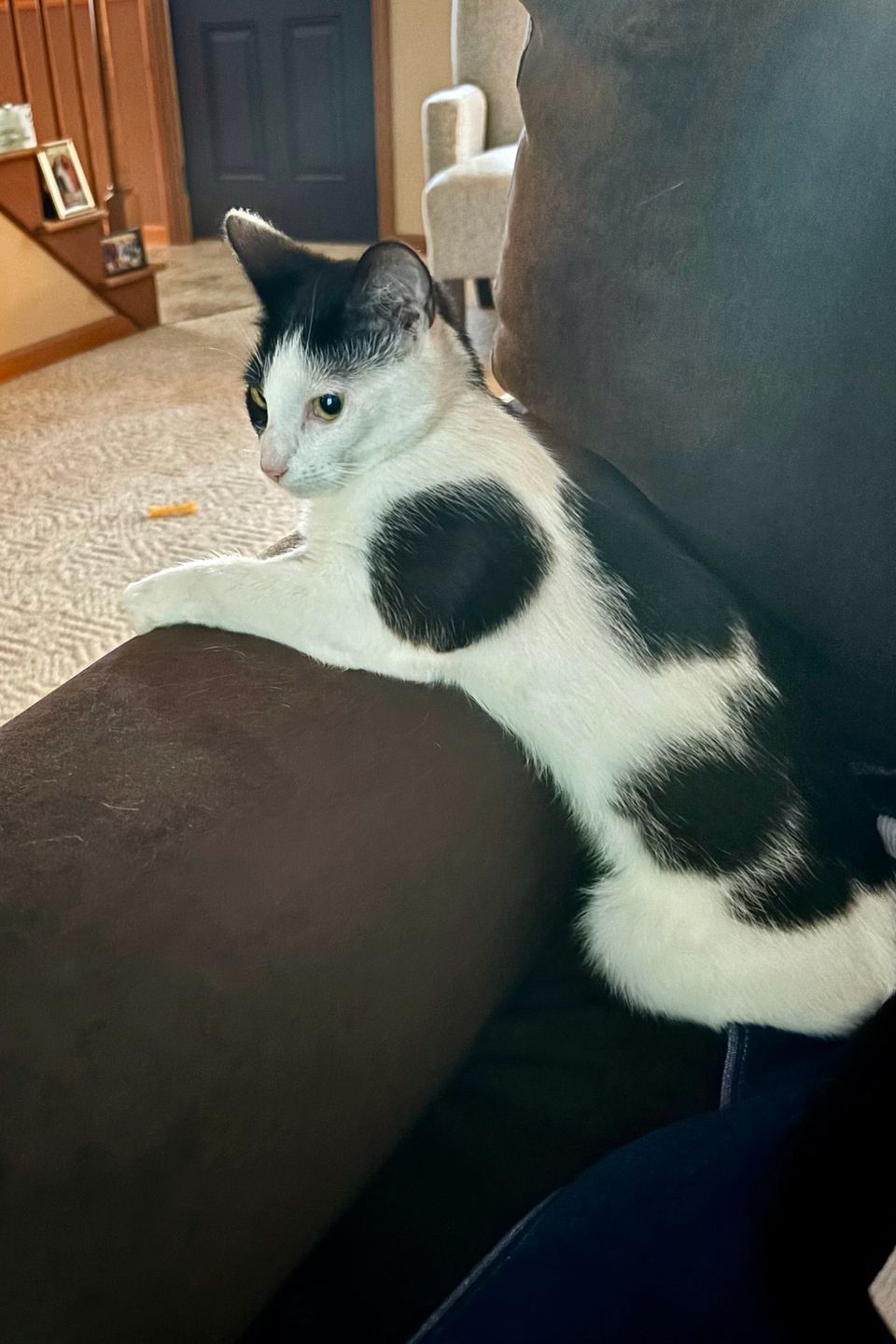 Minnie