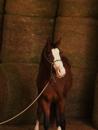 661c297a 7729 42f4 b977 ef9f1fae0bca