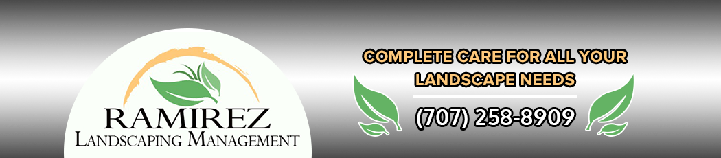 Ramirez Landscaping Management