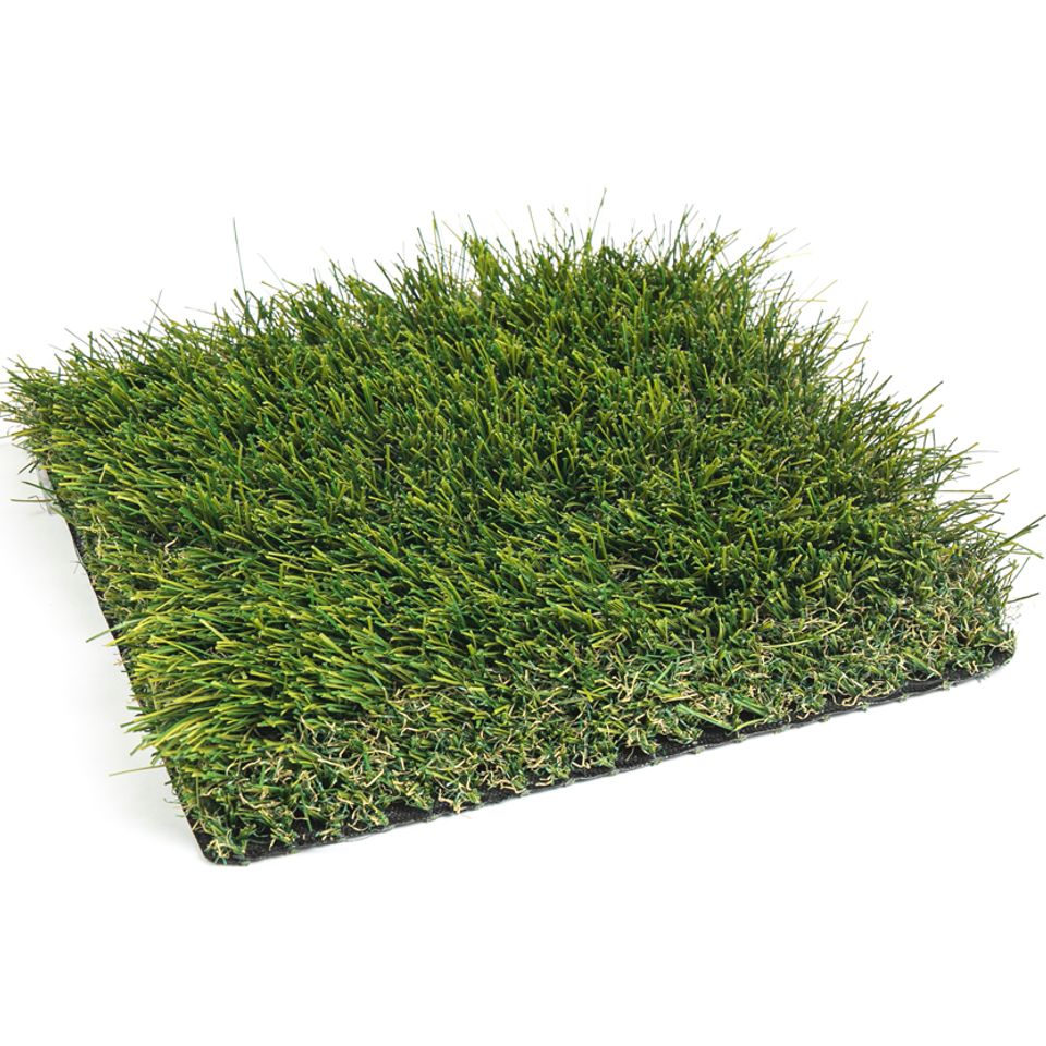 Ultra 278 MTN lawn turf grass
