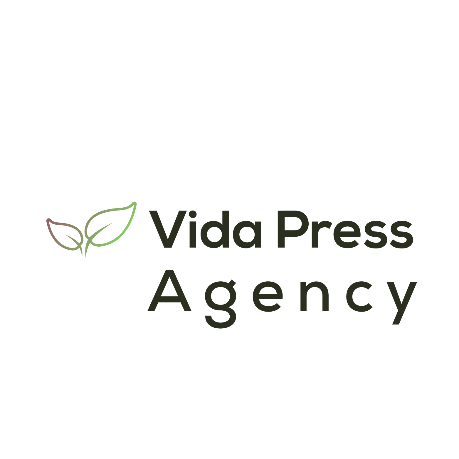 Vida Press Agency