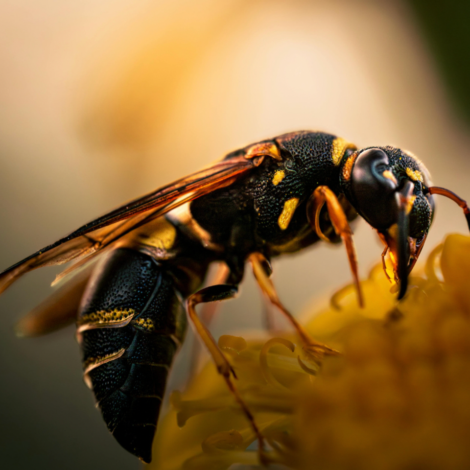 Screen shot 2026 03 03 at 2.26.29 pm