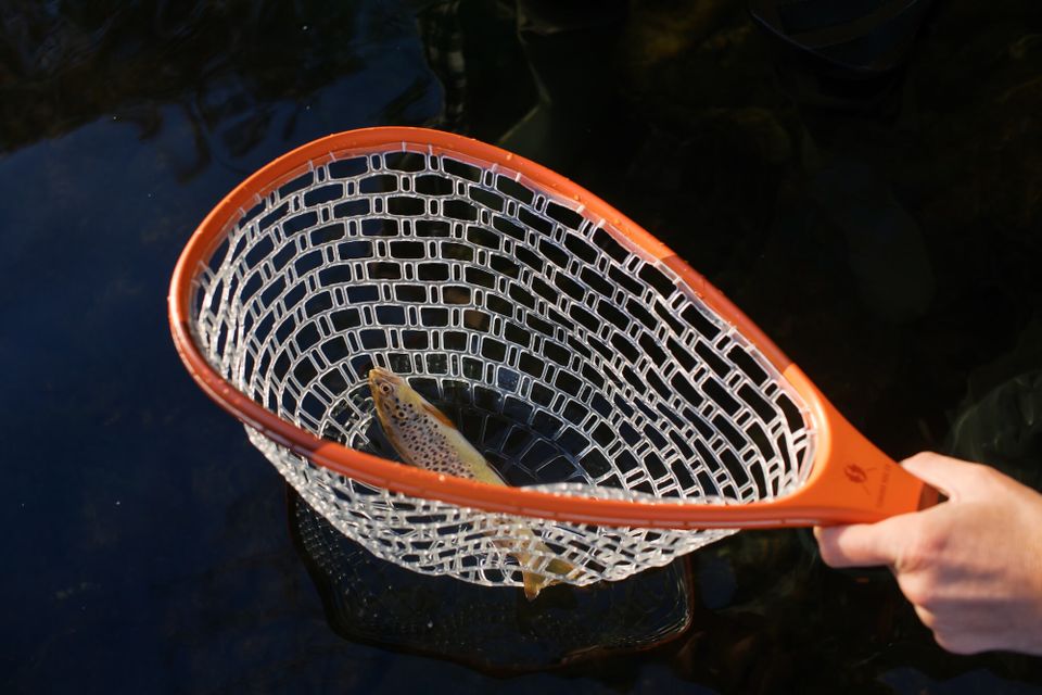 Buffalomountaincounseling 251021 0061