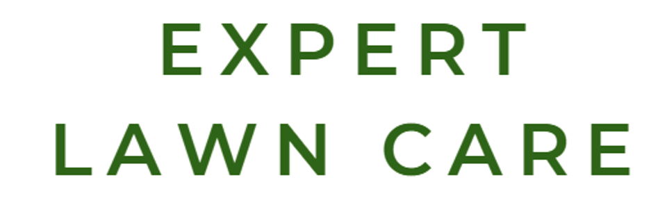 Screenshot 2025 10 22 095820