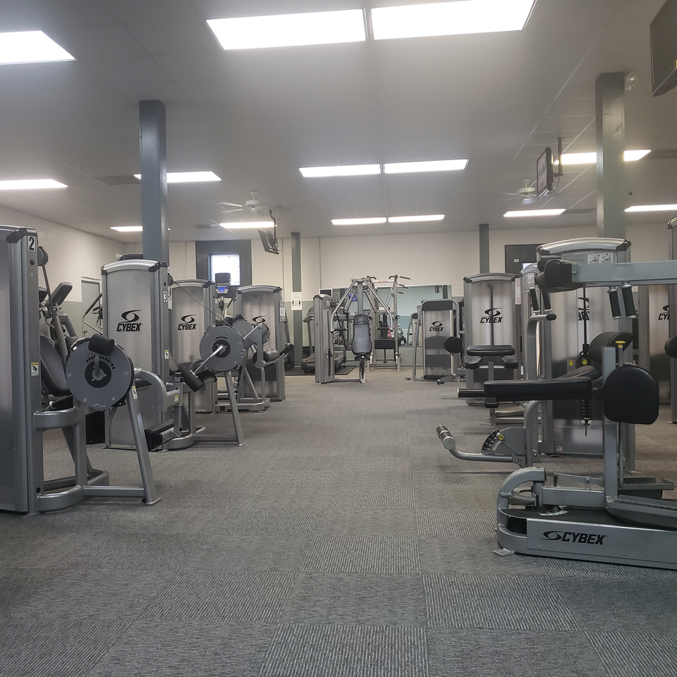 Select equip cybex
