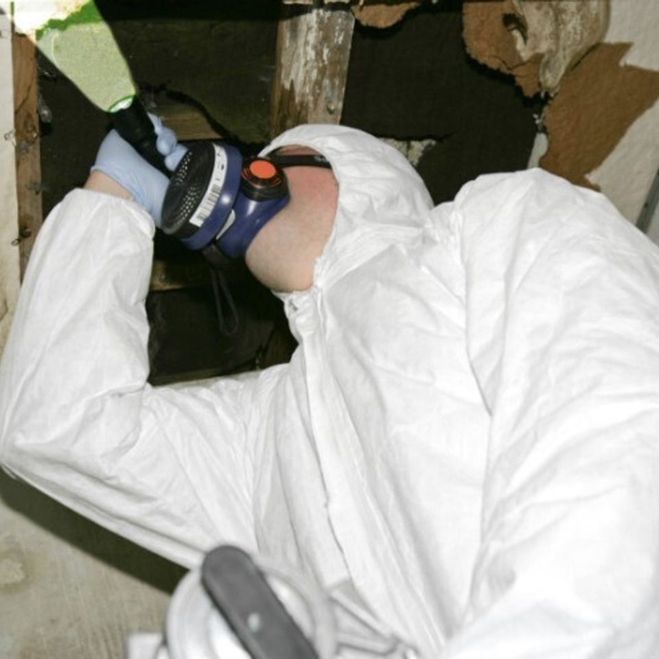 Iaq asbestos testing