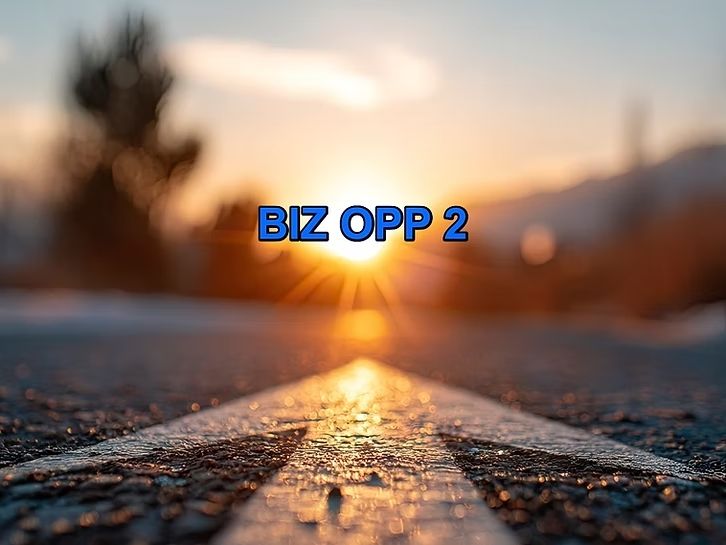 Bizop2