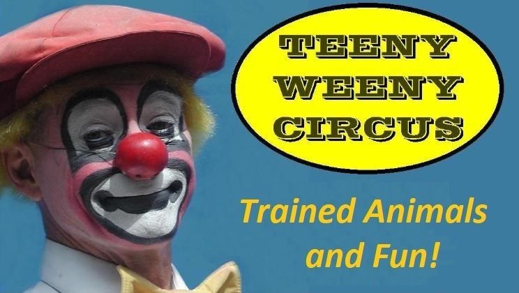 Teeny weeny circus