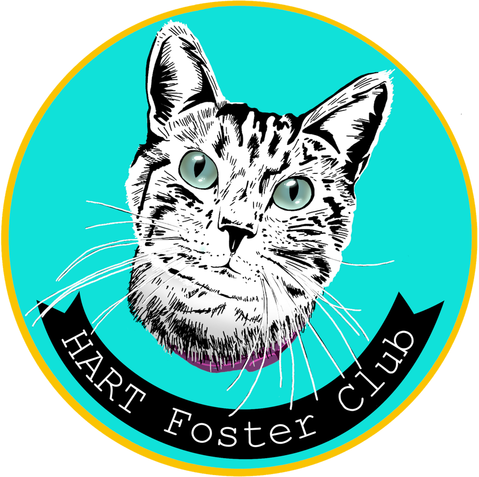 Foster club logo