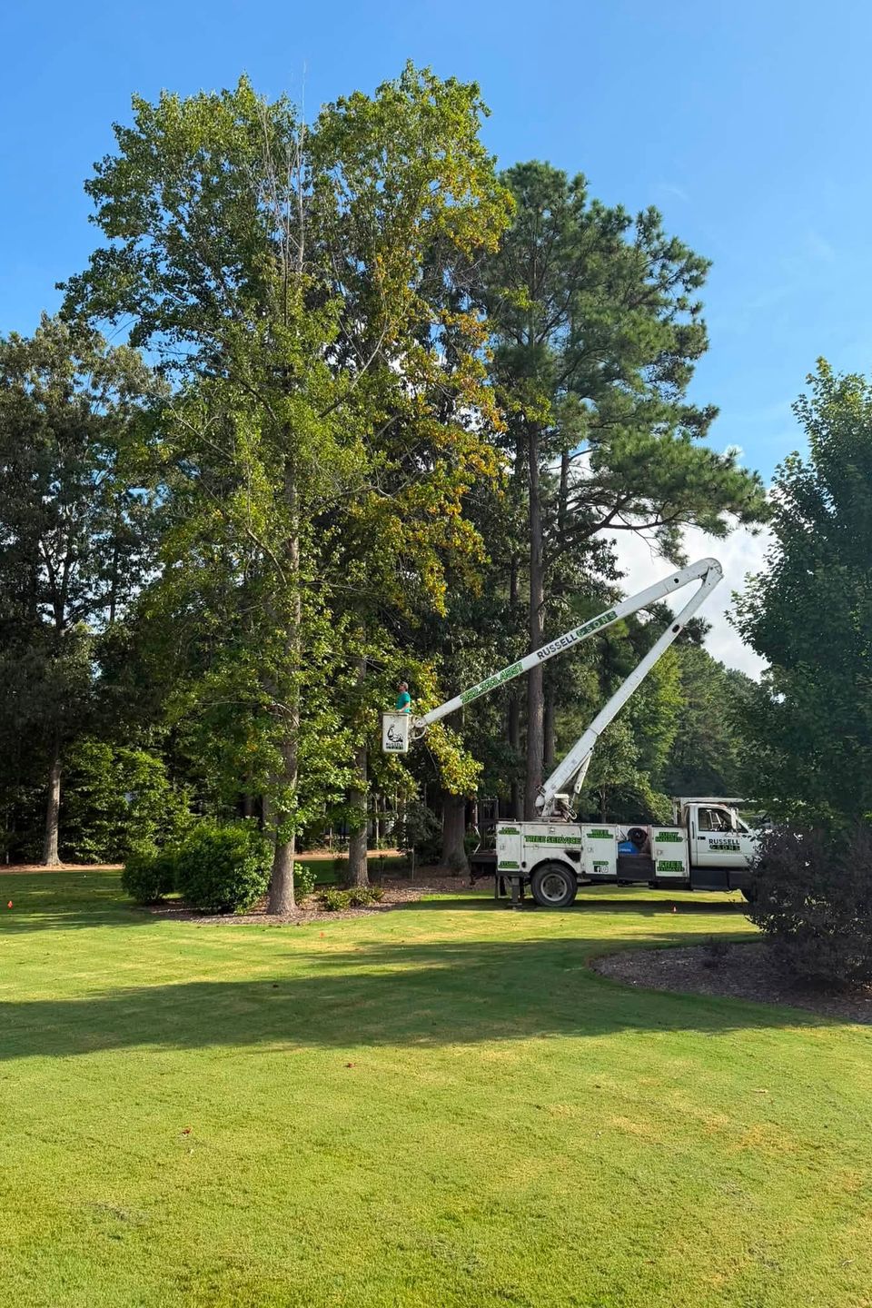 Russell and sons tree removal 2026