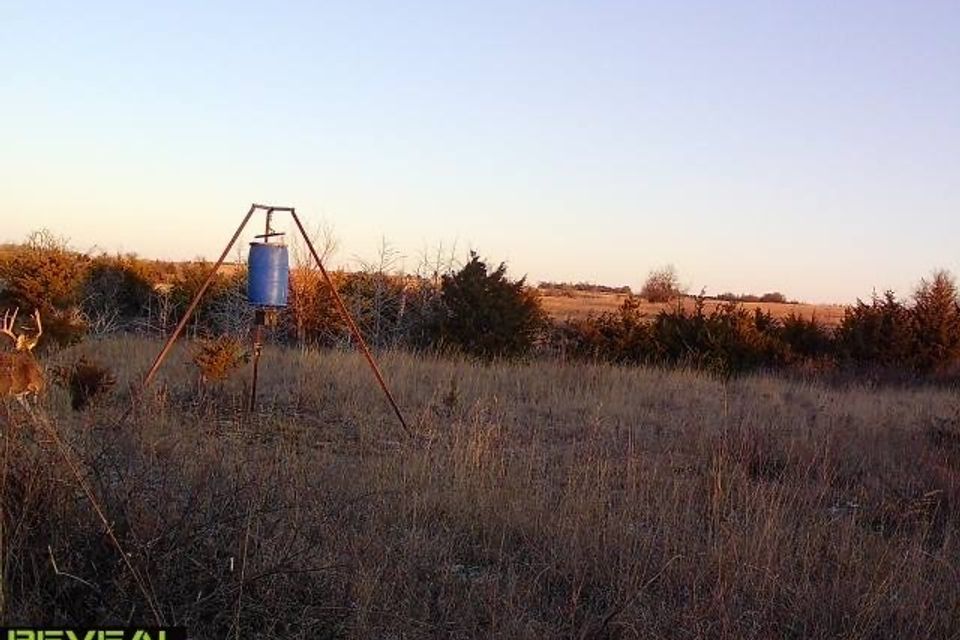 Img 1637