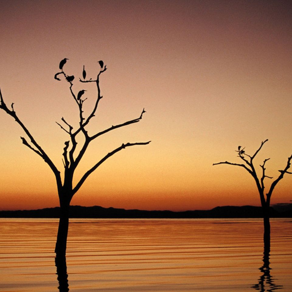 Chuckgraham zimbabwe img037 real20121211 21832 2oykq3 0
