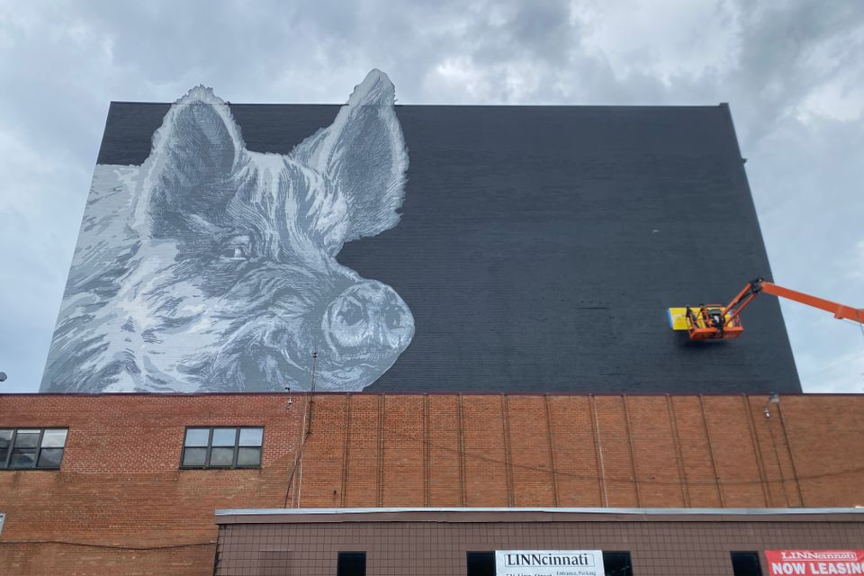 Horan signing ginger photo 1