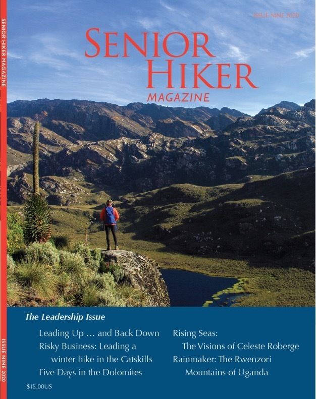 Issuenine cover2