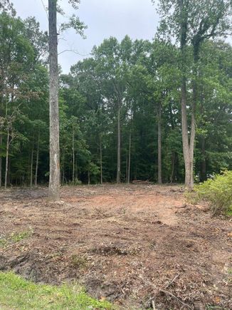 Lot clearing 3