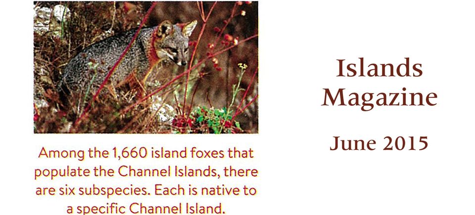 Islands magazine june 201520150915 30641 9buzup