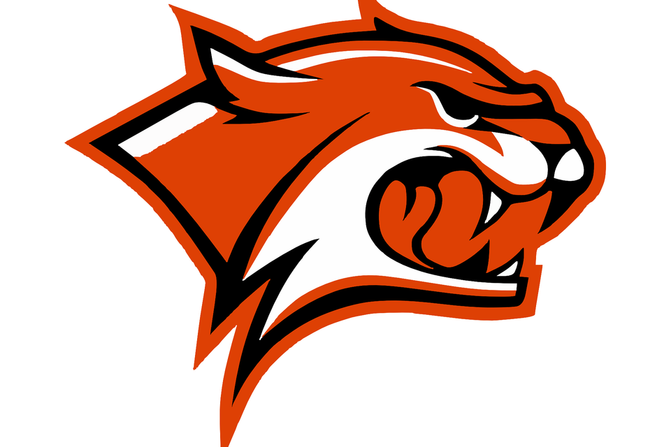 Wildcat gfe40886b2 1920