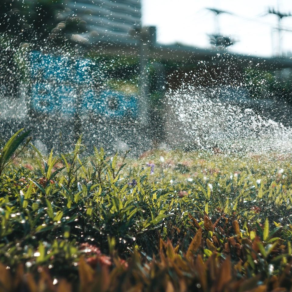 Farm g070623988 1920