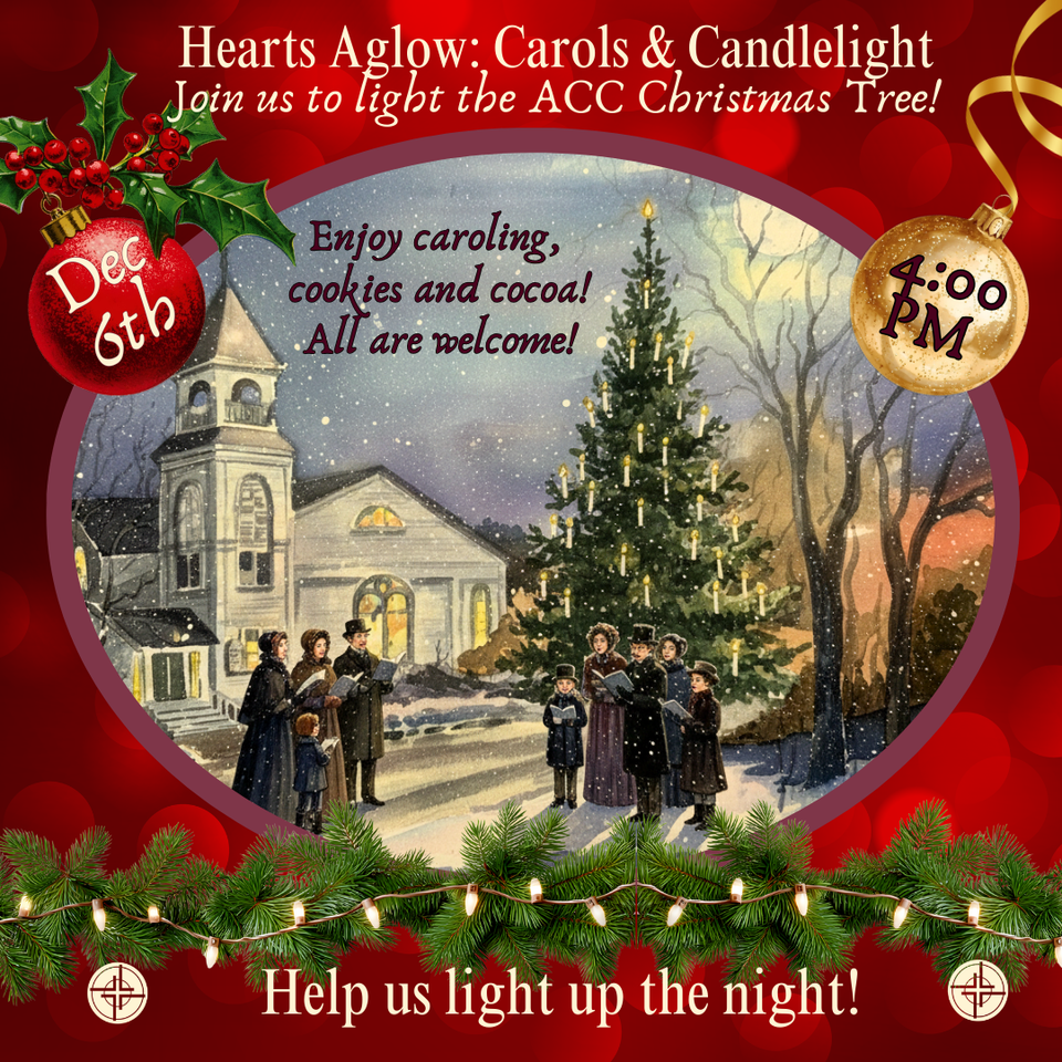 Accc treelighting