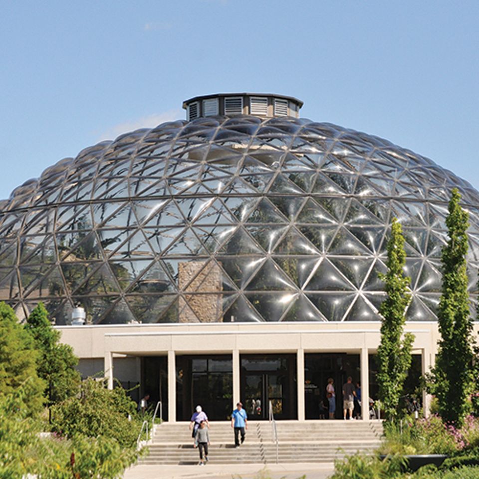 Greater dm botanical garden