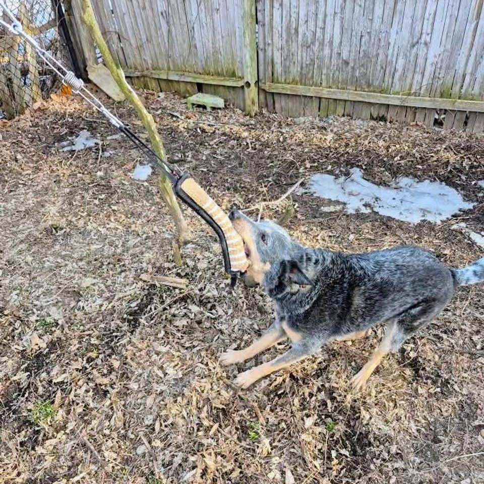 Fb img 1769435476786 2