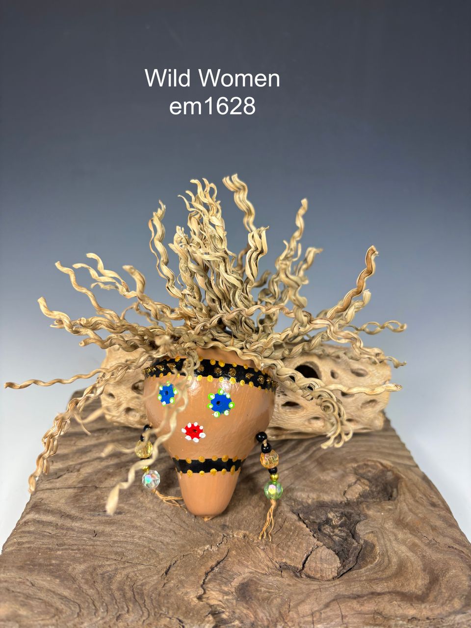 Img 0706