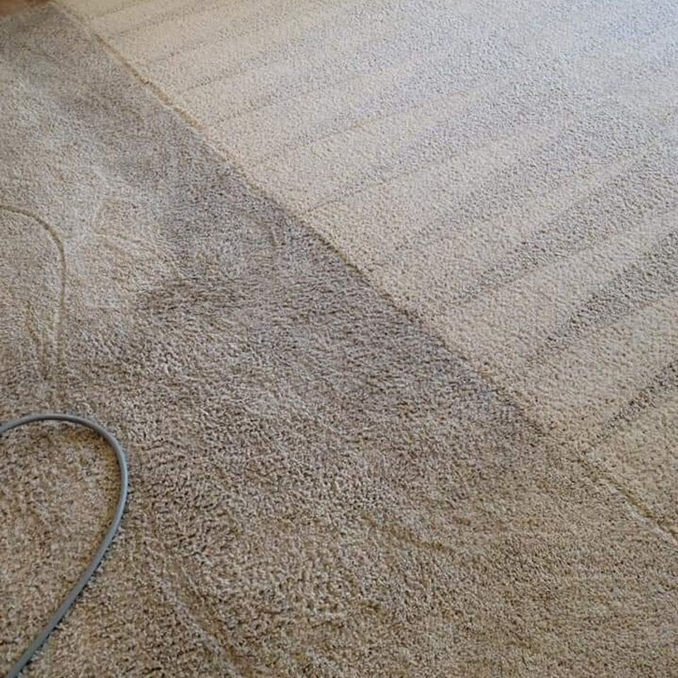 Carpet cleaning in Meridian Idaho