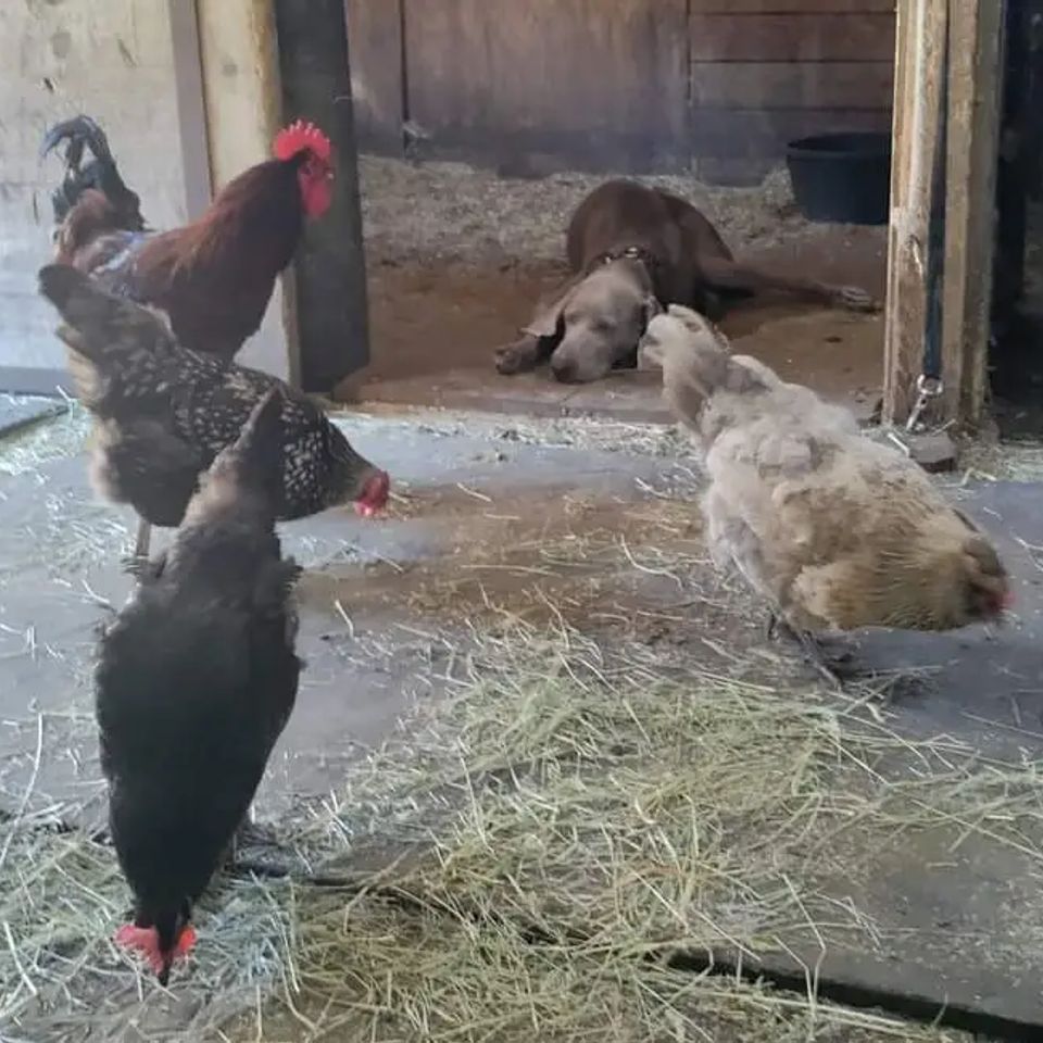 Fb img 1695231065342