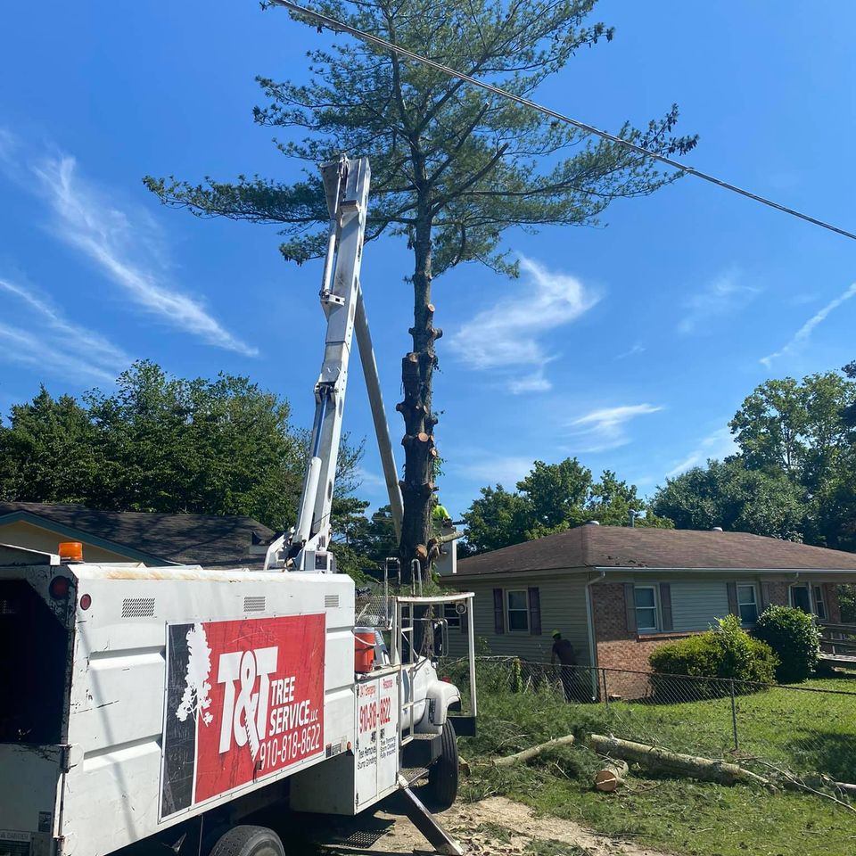 207597045 776547236342089 996221386610718823 n