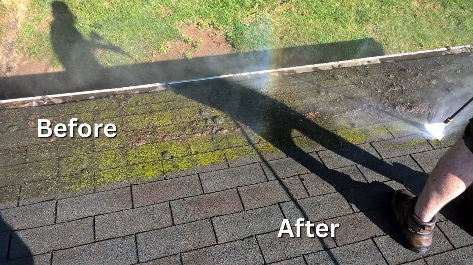 roof cleaning harford county