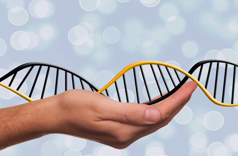 Dna gd47b37506 1920