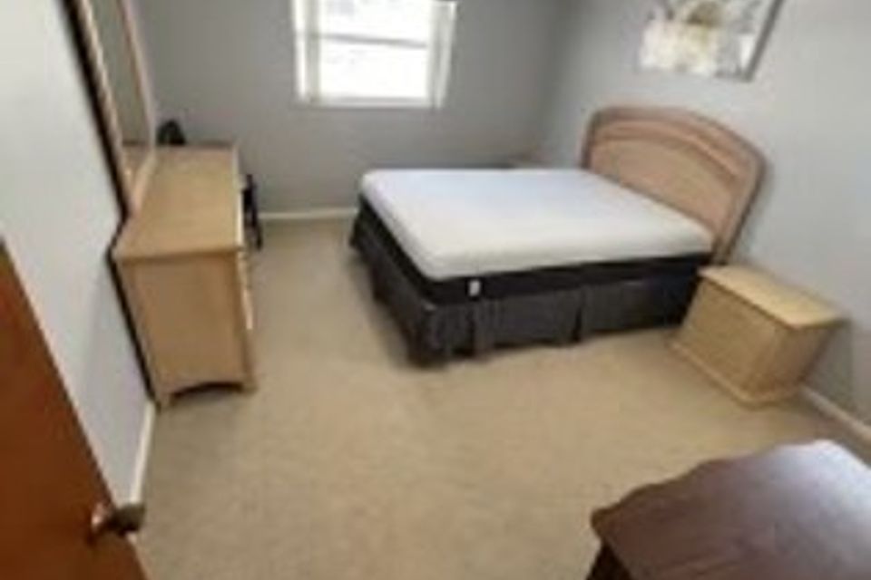 Carpet2