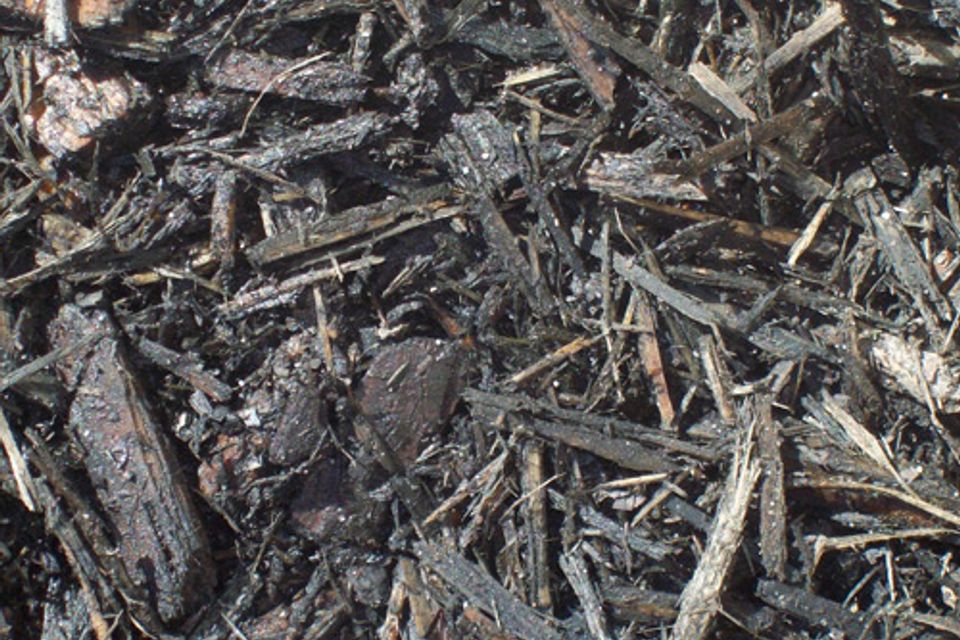 Black mulch