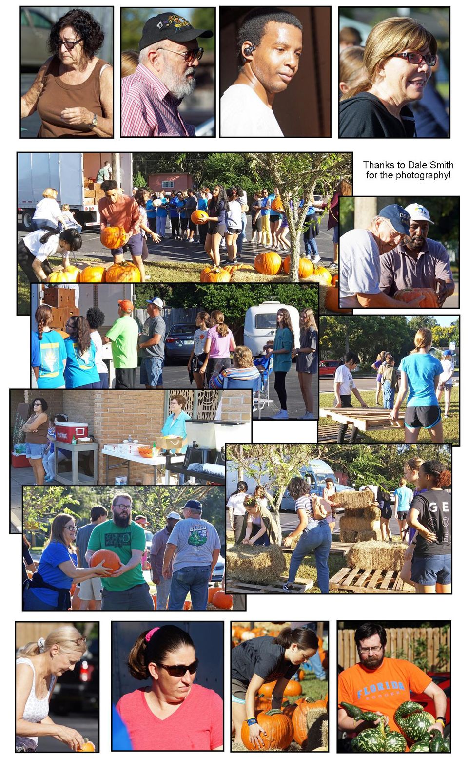 Pumpkin patch collage