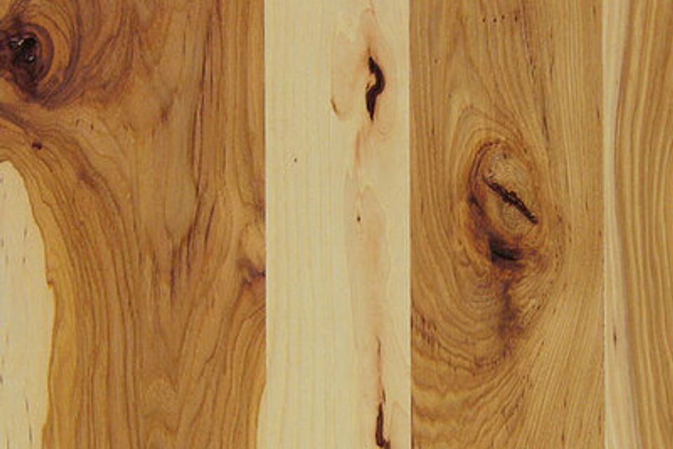 New hickory char 400x300 1e6