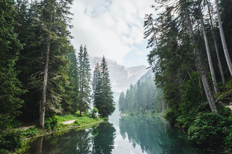 Luca bravo eskw2ayo2as unsplash