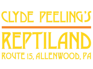 Updated logo with address