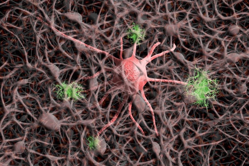 Nerve cells gee72425c3 1920