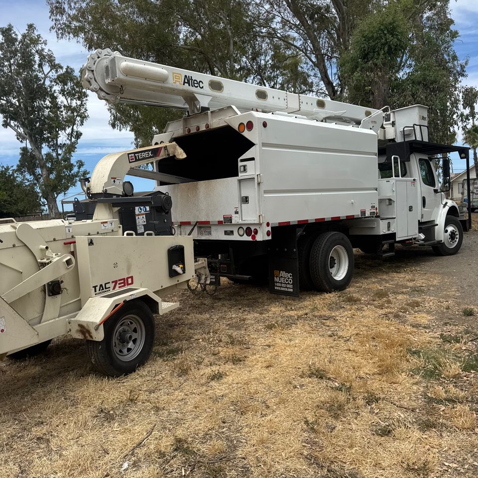 Aerial bucket truck services for high-up tree care by The Arbor Tree Service Company