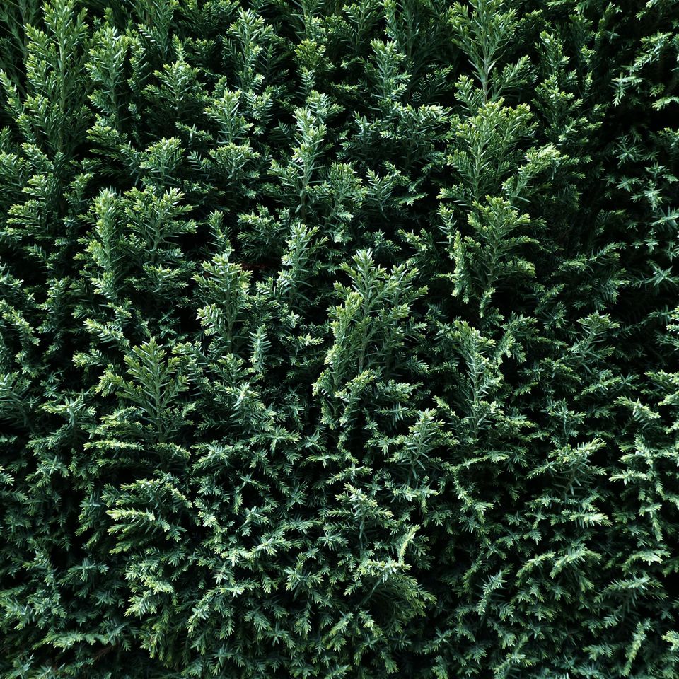 Nika akin dvfpj9dtjx8 unsplash